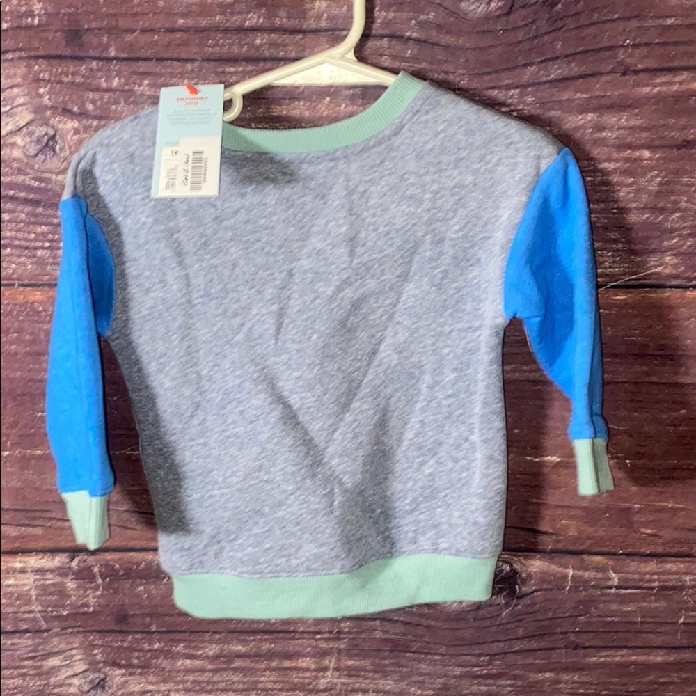 Colorblock Crewneck Sweatshirt - Picture 3 of 3